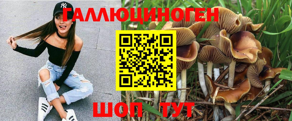 Казань  Галлюциногенные грибы Cubensis  Вход с VPN 